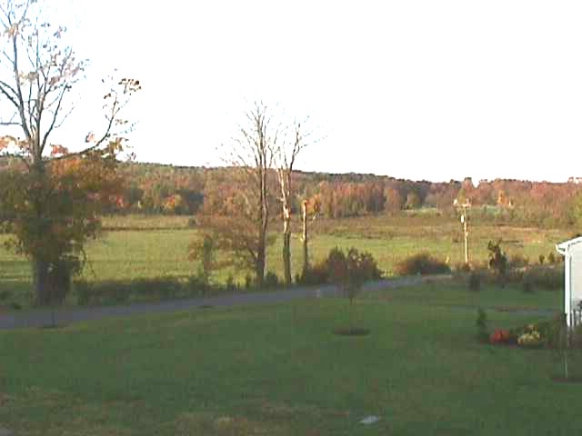 A View Across the Street From the Deck